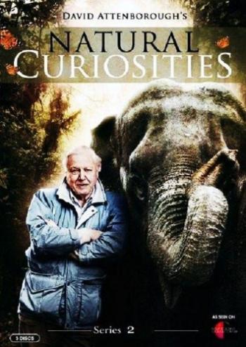 Девид Аттенборо. Загадки природы (2 сезон, 1-10 серии из 10) / David Attenborough's Natural Curiosities DUB