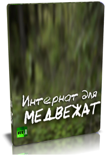 Интернат для медвежат