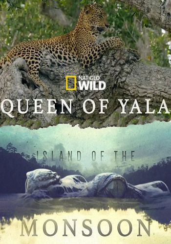Остров муссонов. Королева Яла / NAT GEO WILD. Island of the Monsoon VO