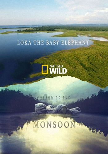 Остров муссонов. Слоненок Лока / NAT GEO WILD. Island of the Monsoon. Loka The Baby Elephan VO
