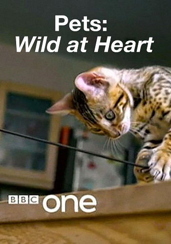 Питомцы - дикие в душе (1-2 серии из 2) / BBC. Pets: Wild at Heart VO