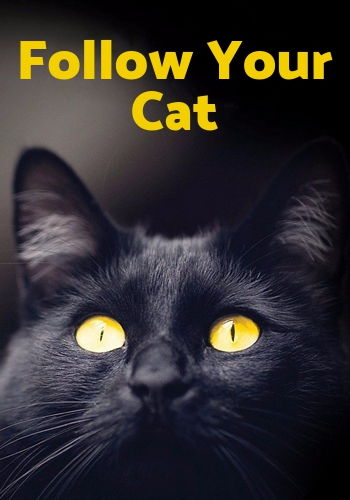 По следам вашей кошки / Follow Your Cat VO
