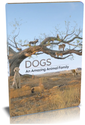 Удивительное семейство псовых (1-3 серии из 3) / Dogs: An Amazing Animal Family VO