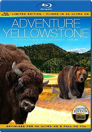 Приключения Йеллоустоун / Adventure Yellowstone VO