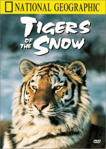 Сибирские тигры / Tigers Of The Snow