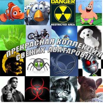 Прикольные аватары