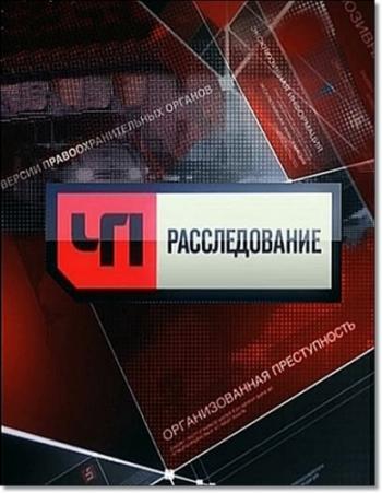 Чрезвычайное происшествие. Расследование. Анатомия протеста 2
