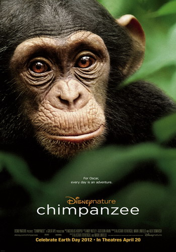 Шимпанзе / Chimpanzee VO