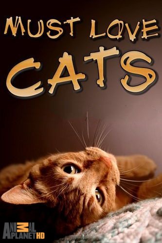 Кошек не любить нельзя (2 сезон, 1-6 серии из 6) / Animal Planet. Must love cats VO
