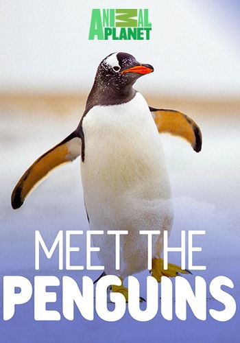 Знакомство с пингвинами (1-8 cерии из 8) / Animal Planet. Meet the Penguins VO
