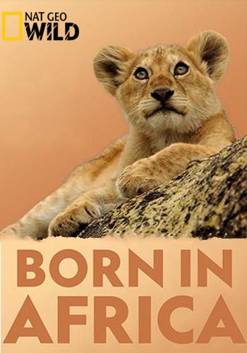 Рожденные в Африке. Опасная игровая площадка / NAT GEO WILD. Born in Africa VO