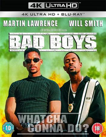 Плохие парни / Bad Boys DUB