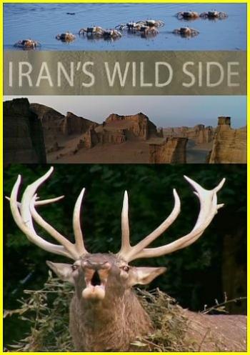 Дикие места Ирана / NAT GEO WILD. Iran's Wild Side VO