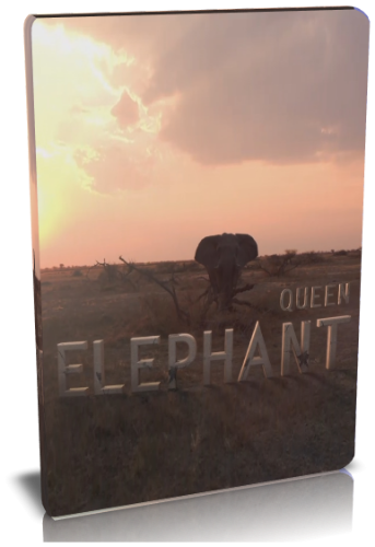 Королева слонов / NAT GEO WILD. Queen elephant VO