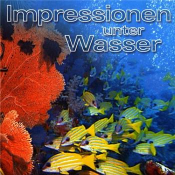 Лени Рифеншталь - Коралловый рай / Impressionen unter Wasser DVO+SUB