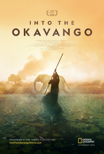 Далеко в Окаванго / NAT GEO WILD. Into The Okavango VO