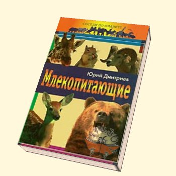 Соседи по планете. Птицы