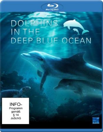 Дельфины в океанской синеве / Dolphins In The Deep Blue Ocean