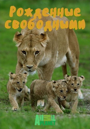 Рожденные свободными / Animal Planet. From Cubs to Kings VO