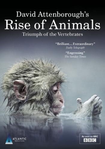 Восхождение животных: Триумф позвоночных (1-2 cерии из 2) / BBC. Rise of Animals: Triumph of the Vertebrates VO