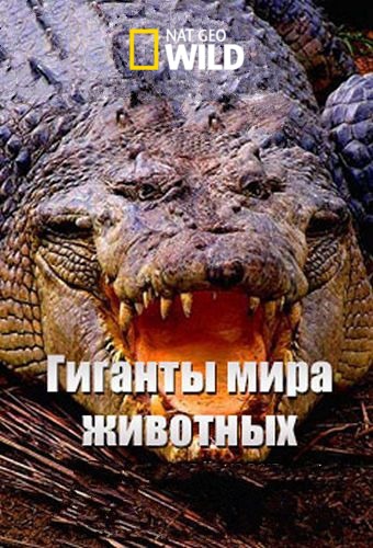 Гиганты мира животных (1 сезон, 1-3 cерии из 3) / NAT GEO WILD. How Big Can It Get? VO