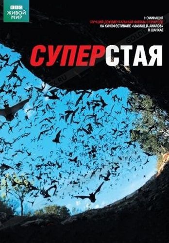 Суперстая (1-2 серии из 2) / BBC. Swarm: Nature's Incredible Invasions VO
