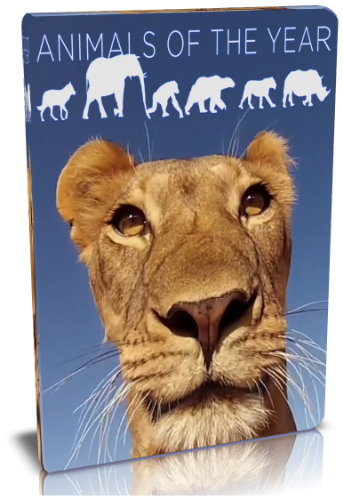 Животные года / NAT GEO WILD. Animals of the year VO