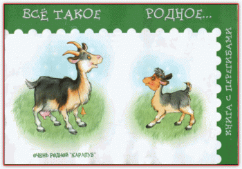 Всё такое.. (Книги с перегибами. 7 книг)