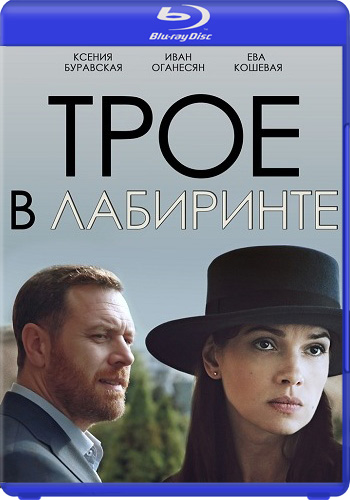 Трое в лабиринте (1-2 серии из 2)