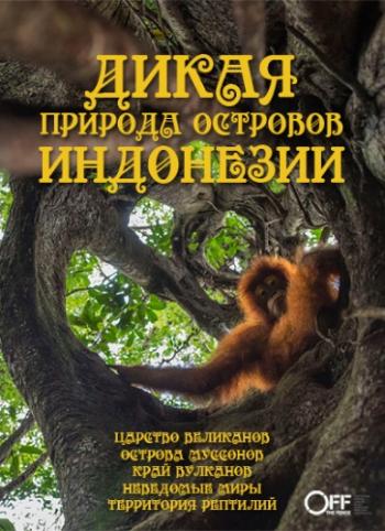 Дикая природа островов Индонезии (1-5 серии из 5) / Wildest Islands Of Indonesia VO