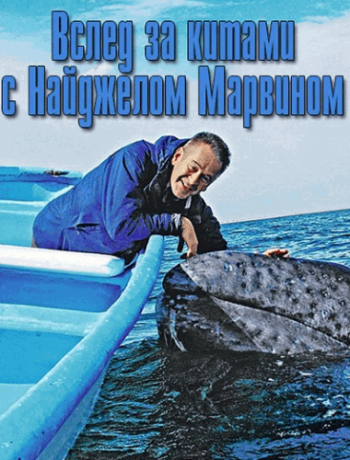 Вслед за китами с Найджелом Марвином (1 сезон, 1-4 серии из 4) / Whale Adventure with Nigel Marven DUB