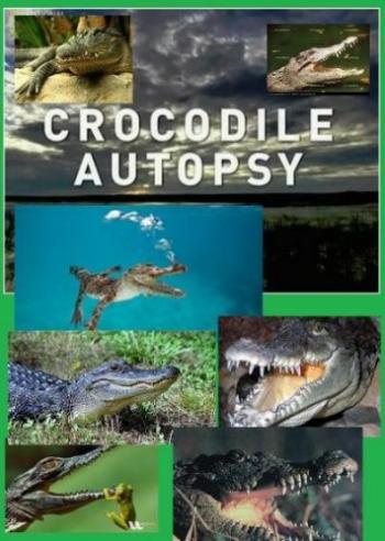 Анатомия крокодила / National Geographic. Crocodile autopsy DUB