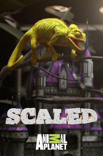 Дом для рептилий. Принцесса и Питон / Scaled VO