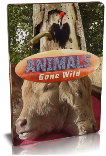 Животные без правил (1-9 серии из 9) / NAT GEO WILD. Animals Gone Wild VO