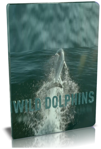 Дикие дельфины / NAT GEO WILD. Wild Dolphins VO