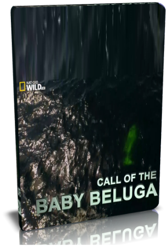 Зов малыша белухи / NAT GEO WILD. Call of the Baby Beluga VO