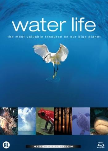Водная жизнь (1-26 серии из 26) / Water Life AVO