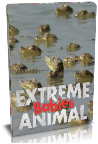 Малыши-экстремалы (1-5 серии из 5) / NAT GEO WILD. Extreme babies animal VO