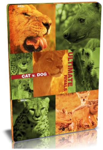 Заклятые враги: кошки против собак / NAT GEO WILD. Ultimate rivals. Cat v. Dog VO