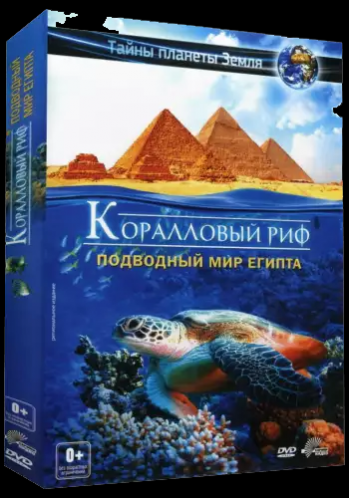 Приключение у кораллового рифа: Подводная жизнь Египта / Abenteuer Korallenriff: Die Unterwasserwelt Agyptens DEU