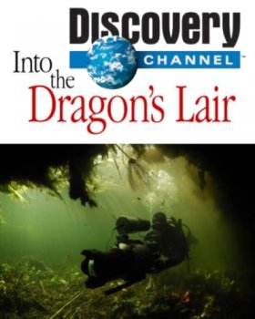 В логово драконов / Into the Dragon's Lair