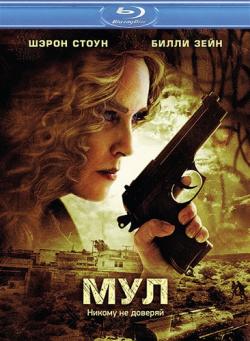  / The Mule MVO